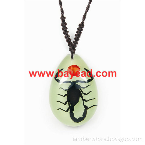 real insect lucite jewelry,real bug jewelry